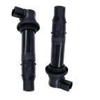 Pair of black automotive ignition coils on white background, OEM-quality replacement parts