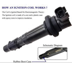 Suitable for Ignition Coil Stick for Triumph Tiger 800 1200 & Kawasaki Ninja ZX-6R | F6T553