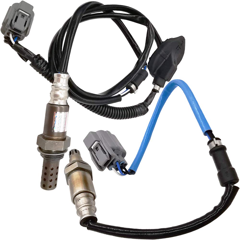 Automotive oxygen sensors with wiring harness and connectors, isolated on white background