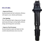 Suitable for Ignition Coil Stick for Triumph Tiger 800 1200 & Kawasaki Ninja ZX-6R | F6T553